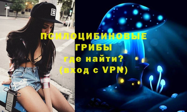 кокаин колумбия Каменногорск