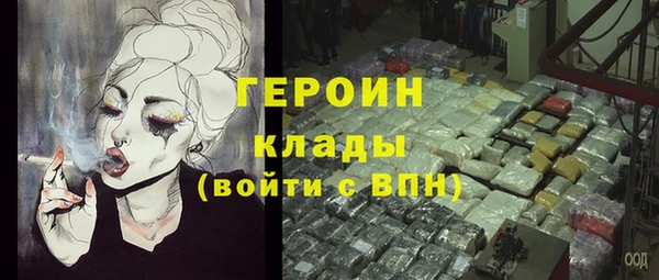 твердый Инта