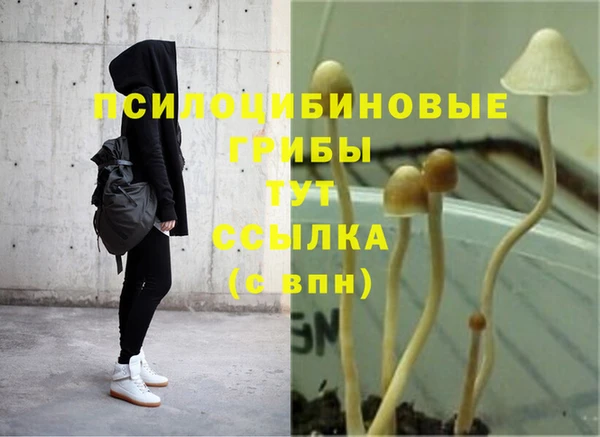 кокаин колумбия Каменногорск
