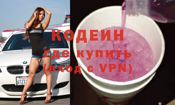 твердый Инта