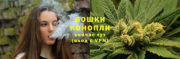 ALPHA PVP Каменка